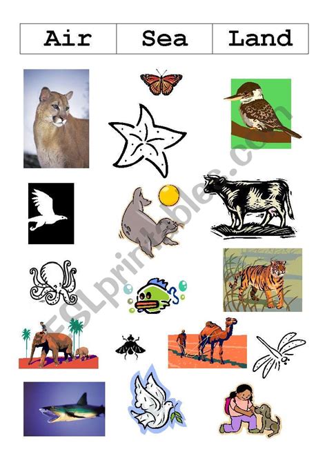 Air, Land and Sea Animals Worksheet .